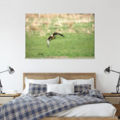 Canvas print of a Red Kite in Flight キャンバスプリント (インサイチュ (寝室))