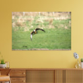 Canvas print of a Red Kite in Flight キャンバスプリント (インサイチュ (リビング))