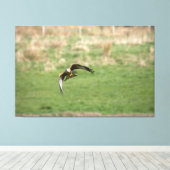 Canvas print of a Red Kite in Flight キャンバスプリント (インサイチュ (ウッドフロア))