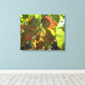 Canvas Print - Red Grape Leaf onつる植物 キャンバスプリント (インサイチュ (ウッドフロア))