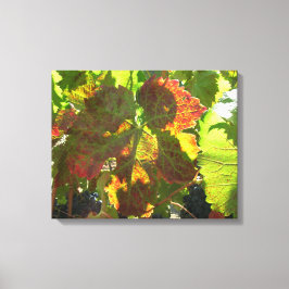 Canvas Print - Red Grape Leaf onつる植物 キャンバスプリント