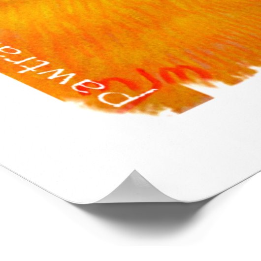 Canvas Print - Sun Conure ポスター (角)