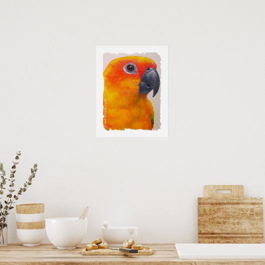 Canvas Print - Sun Conure ポスター (キッチン)
