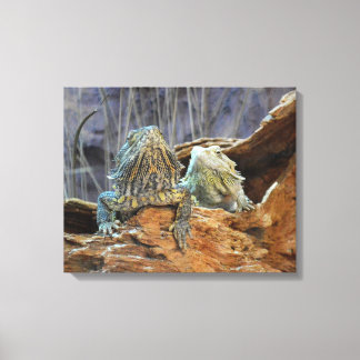 Canvas Print with curious lizards キャンバスプリント