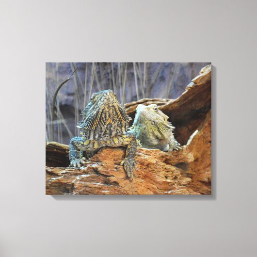 Canvas Print with curious lizards キャンバスプリント (正面)