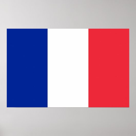 Canvas Print with Flag of France ポスター (正面)
