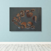 Canvas (SeaShell House) RFPMDesigns ©️ 2012 キャンバスプリント (インサイチュ (ウッドフロア))