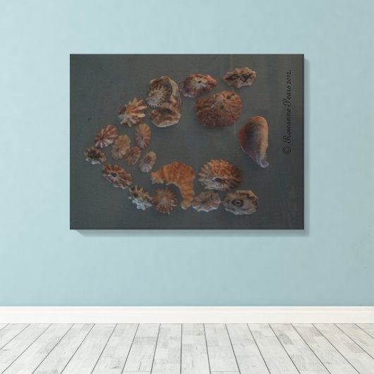 Canvas (SeaShell House) RFPMDesigns ©️ 2012 キャンバスプリント (インサイチュ (ウッドフロア))
