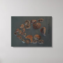 Canvas (SeaShell House) RFPMDesigns ©️ 2012