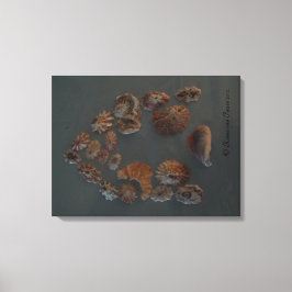 Canvas (SeaShell House) RFPMDesigns ©️ 2012 キャンバスプリント