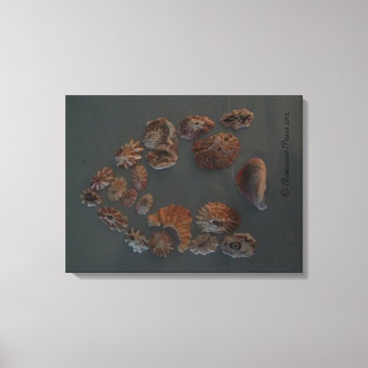 Canvas (SeaShell House) RFPMDesigns ©️ 2012 キャンバスプリント (正面)