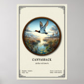 Canvasback Zoology Series Poster ポスター (正面)