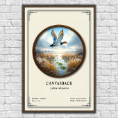 Canvasback Zoology Series Poster ポスター