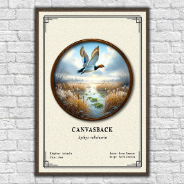 Canvasback Zoology Series Poster ポスター