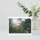 Canyon Trail ポストカード (スタンド正面)