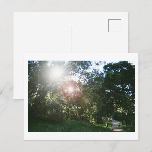 Canyon Trail ポストカード (正面/裏面)