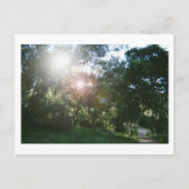 Canyon Trail ポストカード (正面)