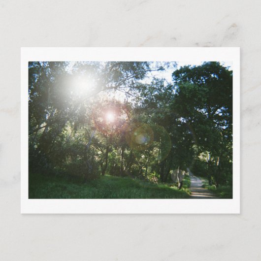 Canyon Trail ポストカード (正面)