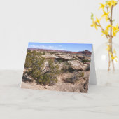Canyonlands View from Cave Springs Trail カード (黄色い花)