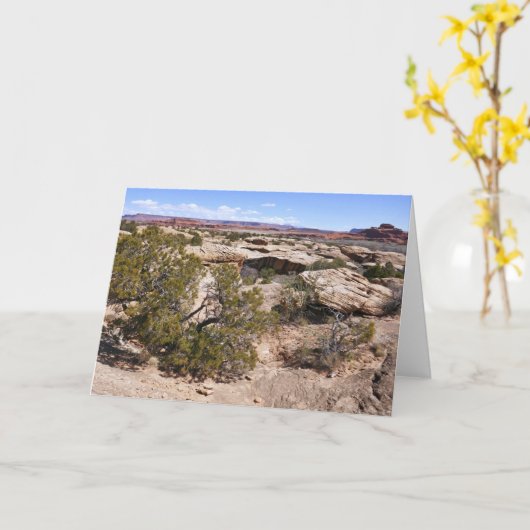 Canyonlands View from Cave Springs Trail カード (黄色い花)