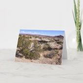 Canyonlands View from Cave Springs Trail カード (正面)
