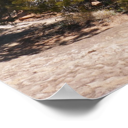 Canyonlands View from Cave Springs Trail ポスター (角)