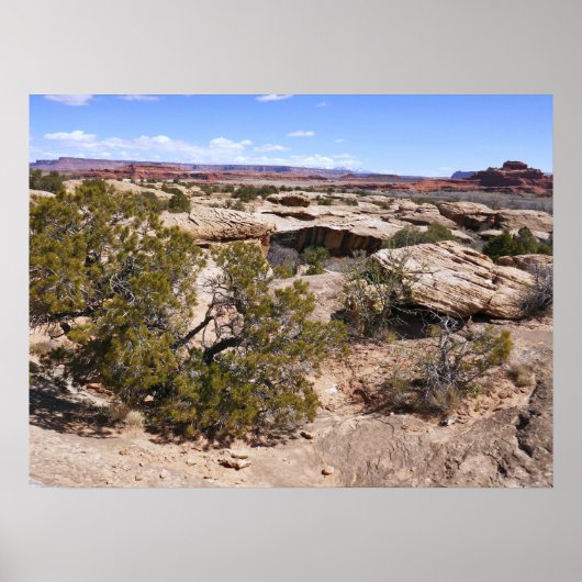 Canyonlands View from Cave Springs Trail ポスター (正面)