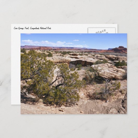 Canyonlands View from Cave Springs Trail ポストカード (正面/裏面)