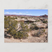 Canyonlands View from Cave Springs Trail ポストカード (正面)