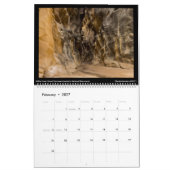 Canyonscapesカレンダー2022 カレンダー (2月 2027)