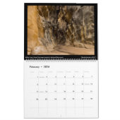 Canyonscapesカレンダー2022 カレンダー (2月 2026)