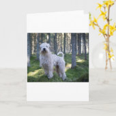 caoted柔らかさは森の十分のテリアをwheten カード (黄色い花)