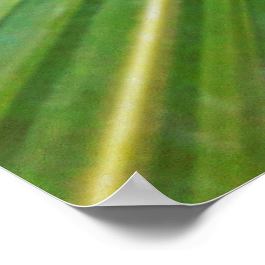 capa de pamonha ポスター (角)