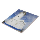 Cape Byron Light house, Cape Byron (オーストラリアの タイル (側面)