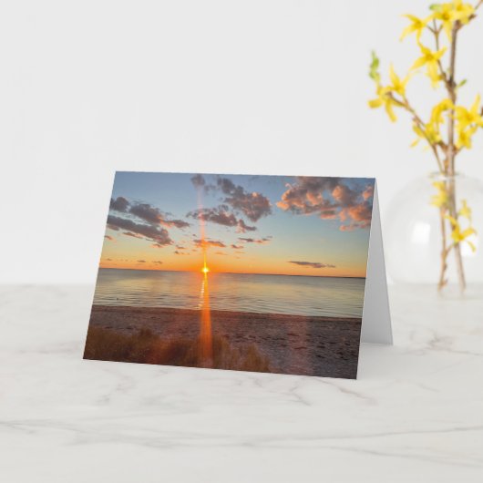Cape Cod Beach Sunset Photo カード (黄色い花)