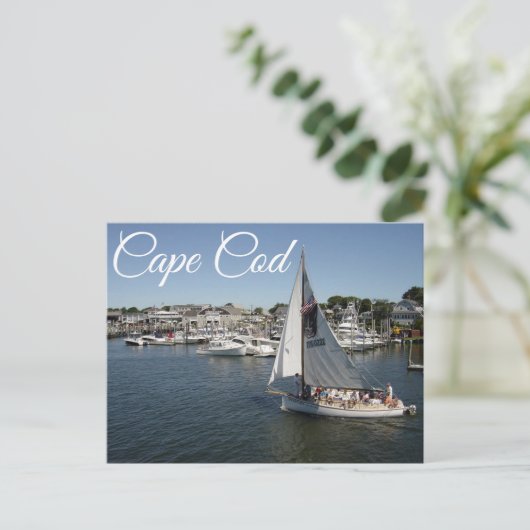 Cape Cod Hyannis, Massachusetts Post Card ポストカード (スタンド正面)