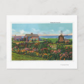 Cape Cod, MassachusettsView of Homes by the ポストカード (正面)