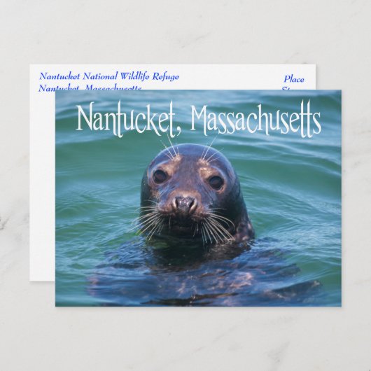 Cape Cod, Nantucket, Massachusetts Sealはがき ポストカード (正面/裏面)