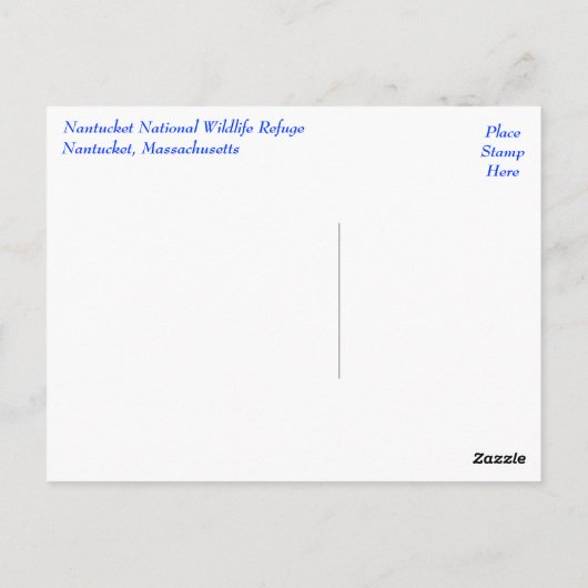 Cape Cod, Nantucket, Massachusetts Sealはがき ポストカード (裏面)