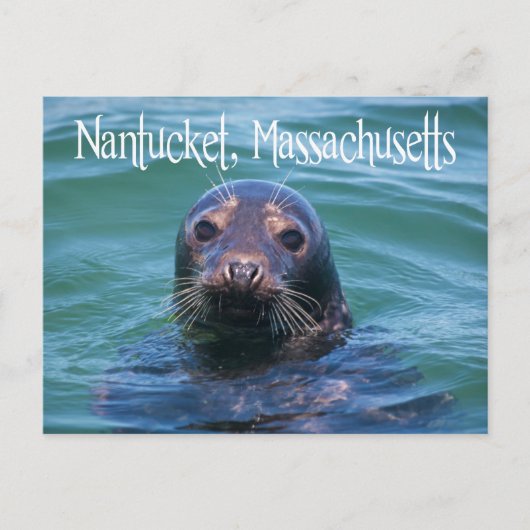 Cape Cod, Nantucket, Massachusetts Sealはがき ポストカード (正面)