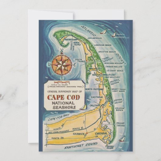 Cape Cod National Seashore 5x7 Postcard サンキューカード (正面)
