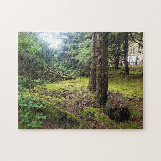 Cape Disappointment Camp Pacific Northwest Forest ジグソーパズル (横)