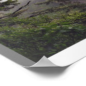 Cape Flattery in the Rainパノラマポスター ポスター (角)