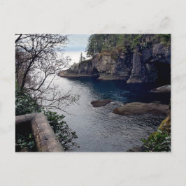 Cape Flattery Olympic Peninsula - Washington ポストカード