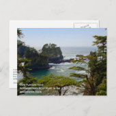 Cape Flattery Postcard ポストカード (正面/裏面)