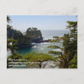 Cape Flattery Postcard ポストカード (正面)