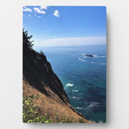 Cape Foulweather（オレゴン州ニューポート） フォトプラーク (正面)