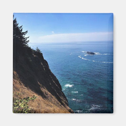 Cape Foulweather(オレゴン州ニューポート) マグネット (正面)