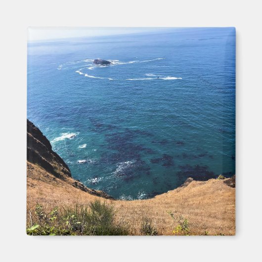 Cape Foulweather（オレゴン州ニューポート） マグネット (正面)