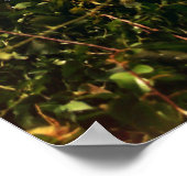 Cape Henry Lighthouse ポスター (角)